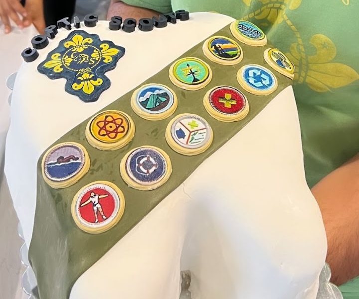 Scout sash